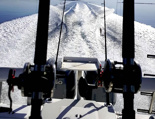 inshore-charters.jpg