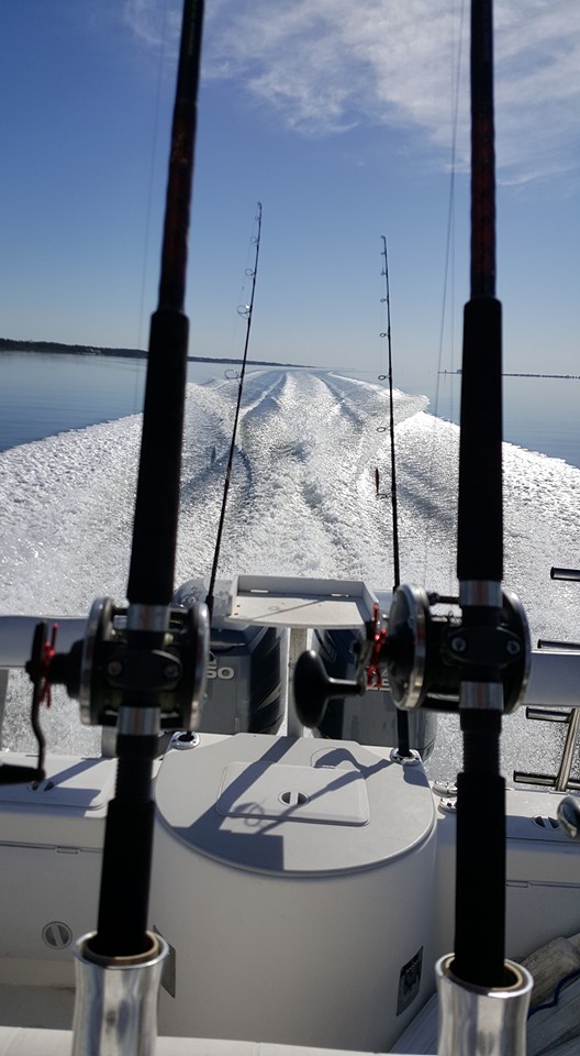 trolling-charter-pensacola-beach-deep-sea-fishing-pensacola.jpg