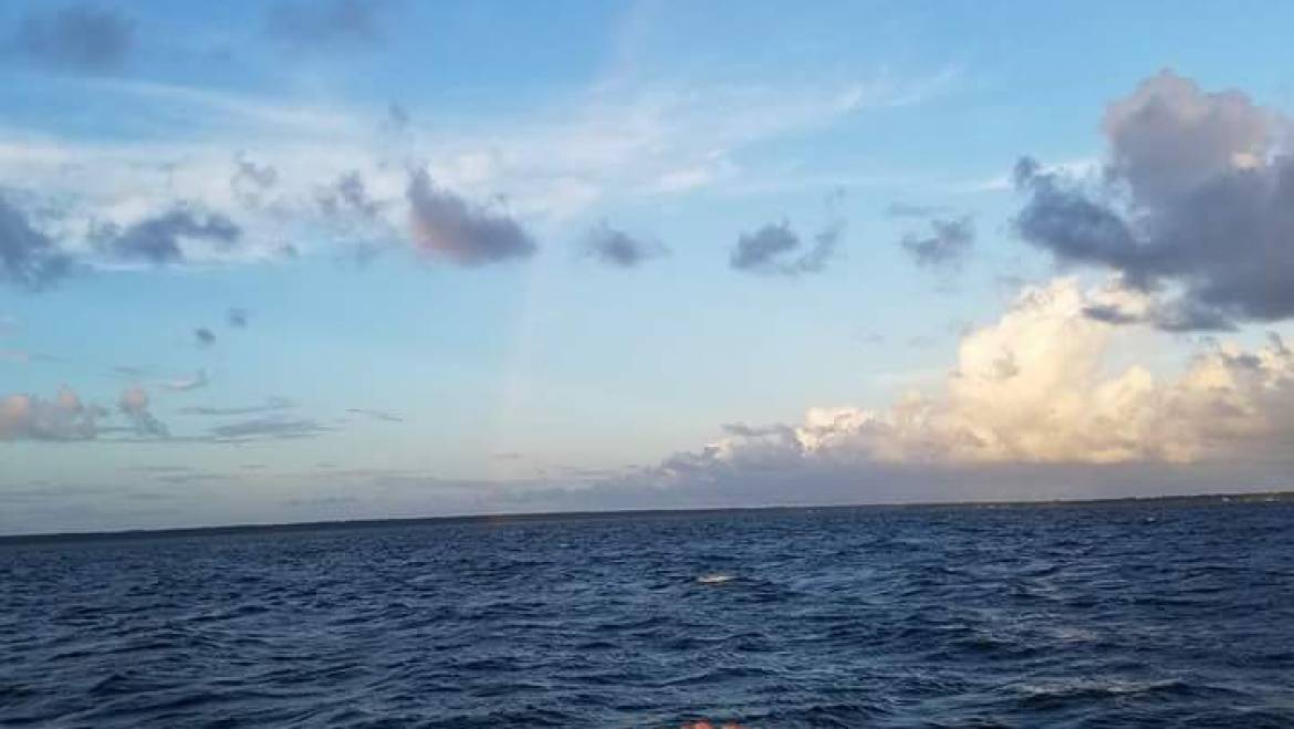 Sight Seeing / Dolphin Cruises