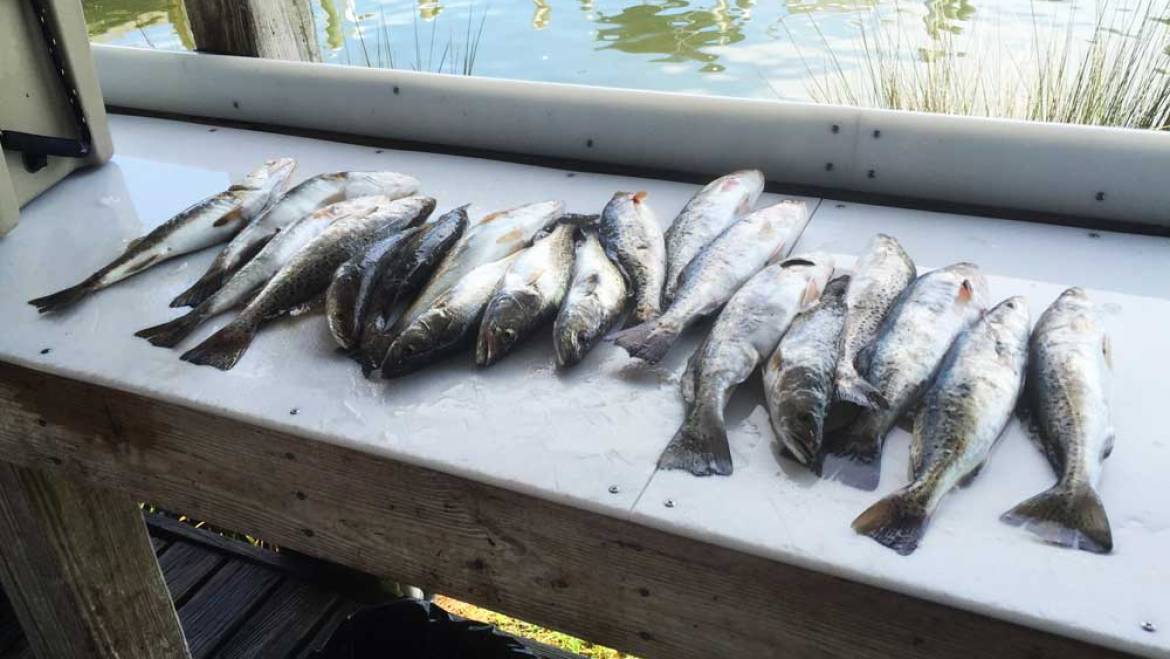 Drop a Line for Fall and Winter Fishing